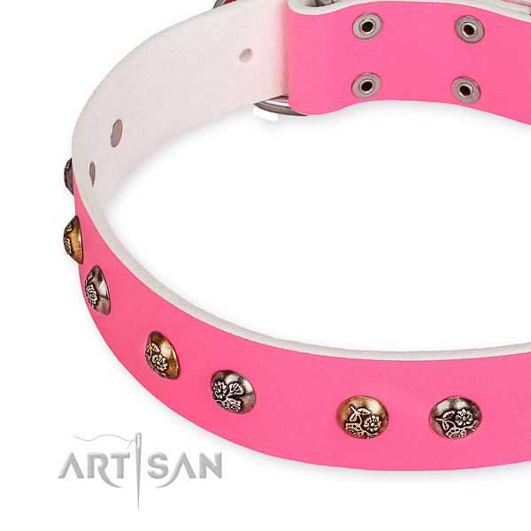 Natural leather dog collar with designer durable studs