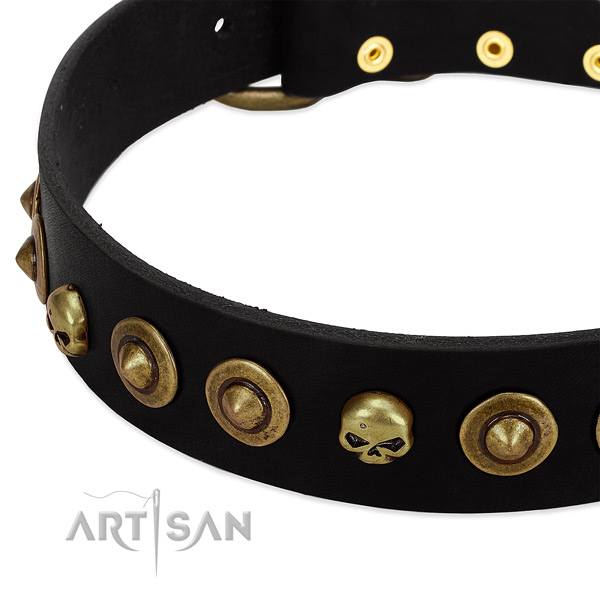 Unusual studs on genuine leather collar for your doggie