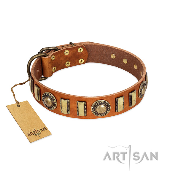 Exceptional natural leather dog collar with reliable fittings