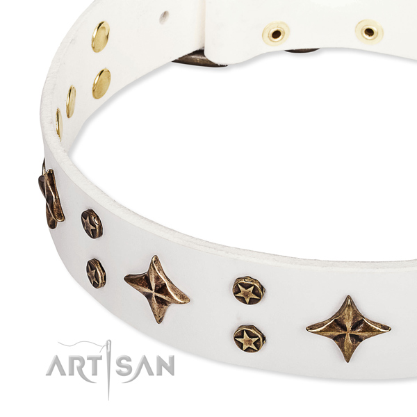 Stylish walking studded dog collar of top notch full grain genuine leather