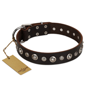 "Gorgeous Shields" FDT Artisan Brown Leather Collie Collar with Old Silver-like Circles and Small Camomiles