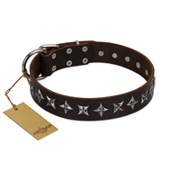 "Stars of Glory" FDT Artisan Brown Leather Collie Collar for Comfortable Walking