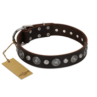 "Victory Ode" FDT Artisan Brown Leather Collie Collar with Silver-like Plated Decorations