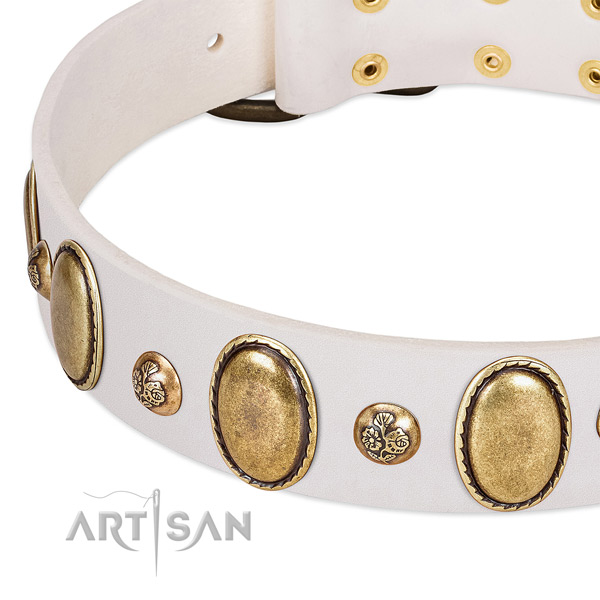 Full grain leather dog collar with amazing studs