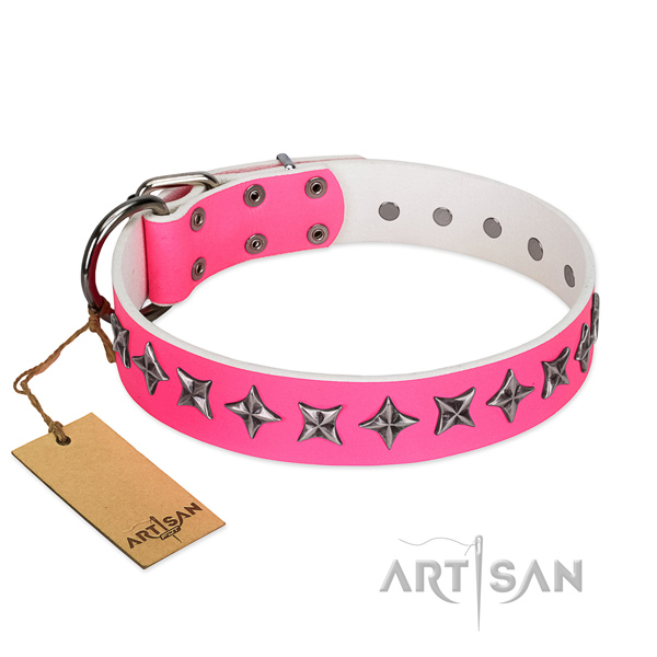 Fine quality full grain genuine leather dog collar with exceptional adornments