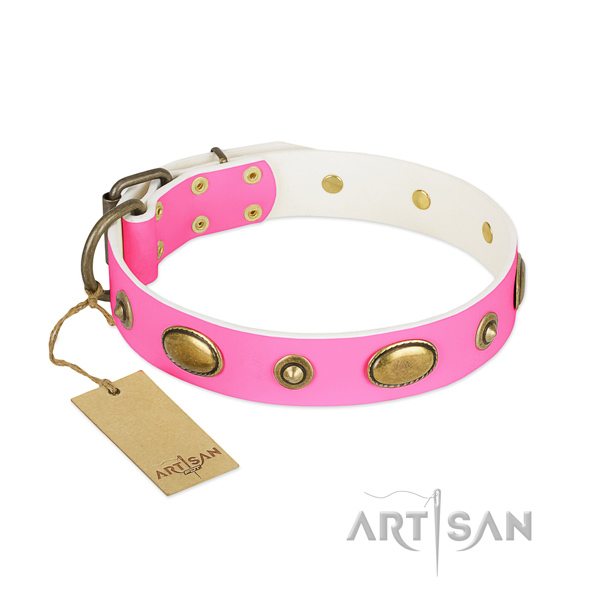 Embellished full grain leather collar for your canine