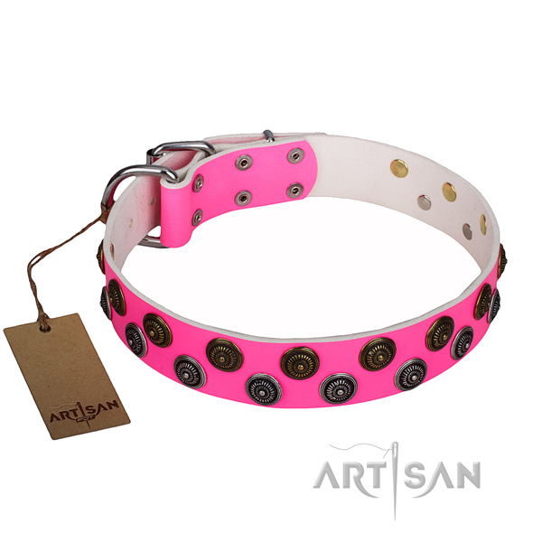Comfy wearing dog collar of top quality full grain leather with studs