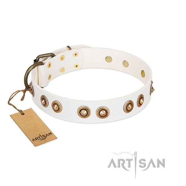 Convenient full grain leather collar for your pet