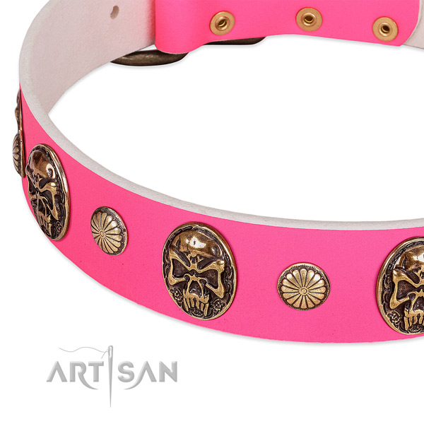 Corrosion proof fittings on leather dog collar for your dog