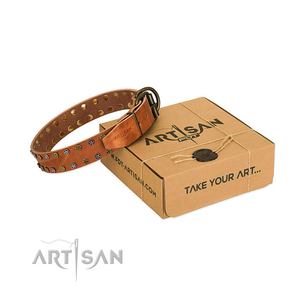 Comfortable wearing flexible full grain leather dog collar with adornments