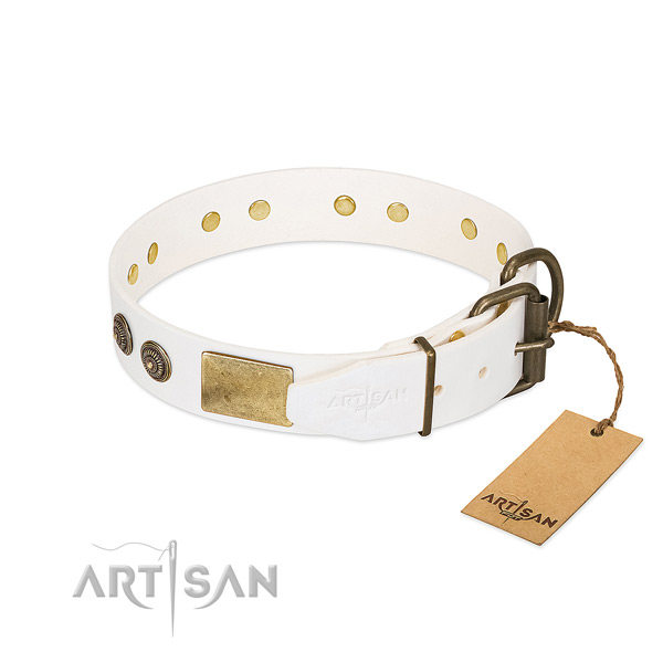 Durable traditional buckle on full grain natural leather collar for daily walking your dog