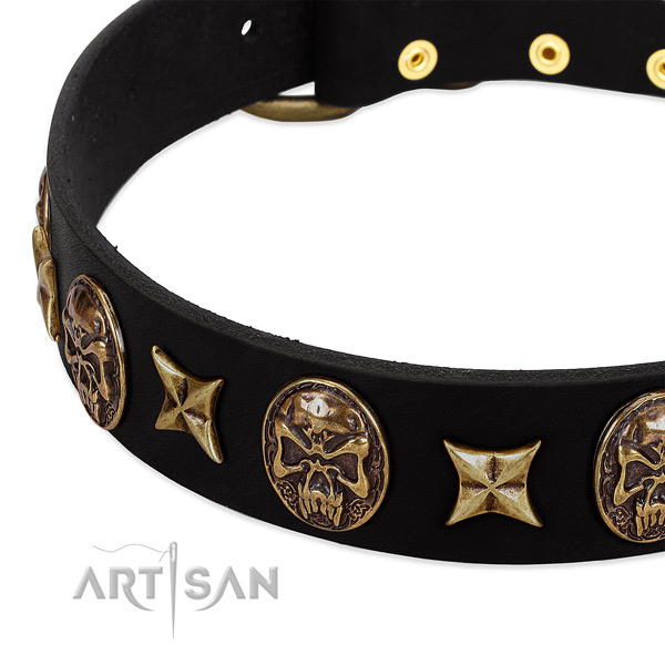 Corrosion proof fittings on leather dog collar for your pet