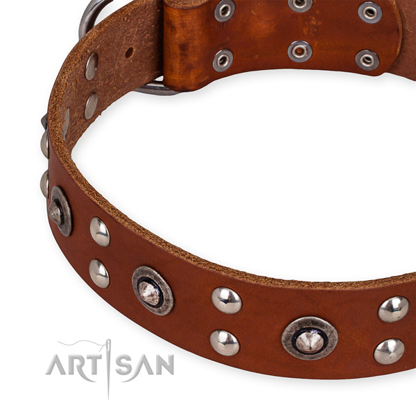 Genuine leather collar with durable buckle for your attractive four-legged friend