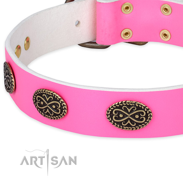 Full grain leather dog collar with studs for daily use