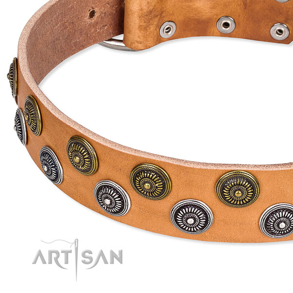 Basic training embellished dog collar of top quality natural leather