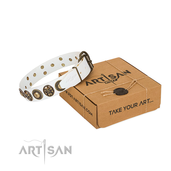 Rust-proof D-ring on dog collar for stylish walking