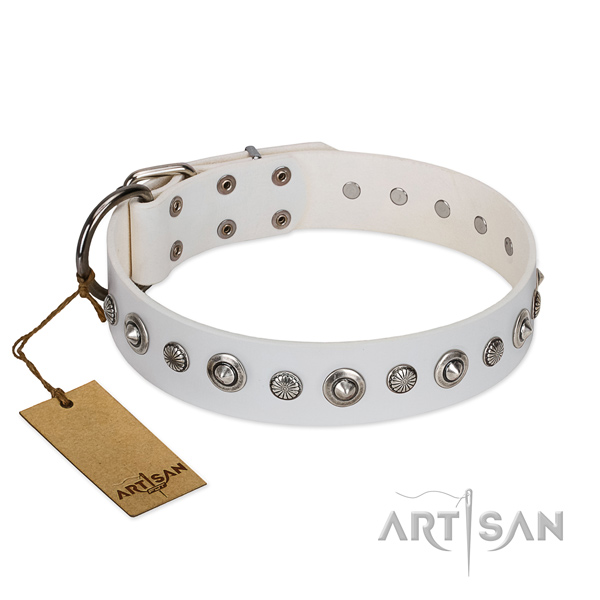 Top quality full grain leather dog collar with fashionable studs