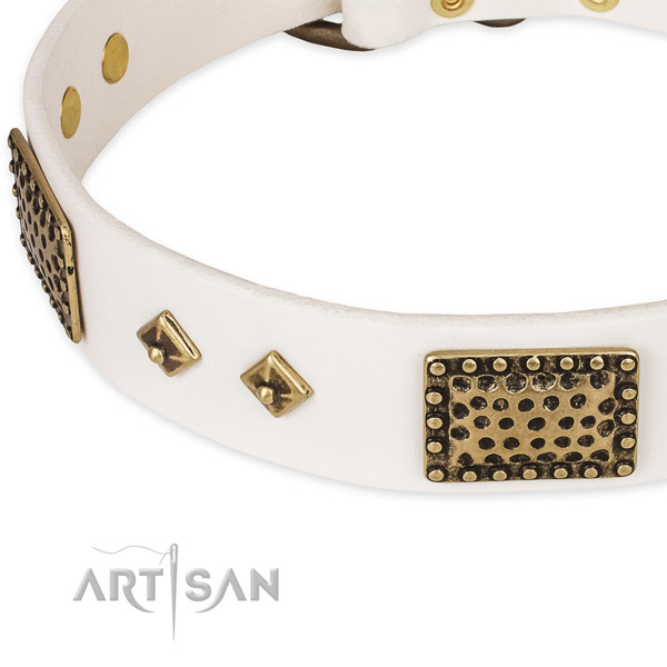 Rust resistant fittings on leather dog collar for your doggie