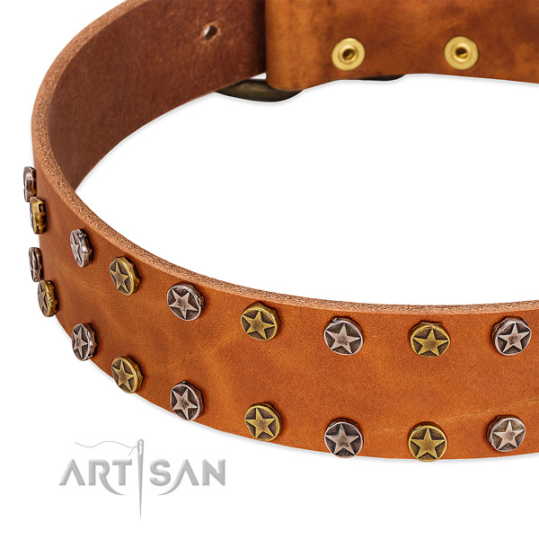 Everyday walking genuine leather dog collar with fashionable adornments