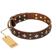 "High Fashion" FDT Artisan Embellished Brown Leather Collie Collar