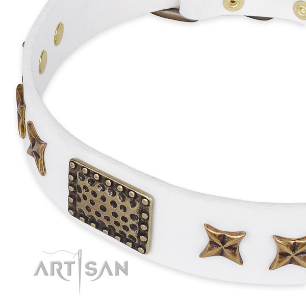 Full grain genuine leather collar with corrosion resistant D-ring for your attractive pet