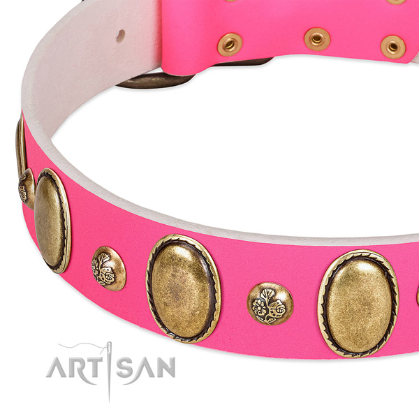 Everyday walking high quality natural genuine leather dog collar