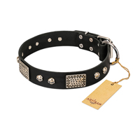 "Pirates Gold" FDT Artisan Black Leather Collie Collar with Old Silver Look Plates and Skulls