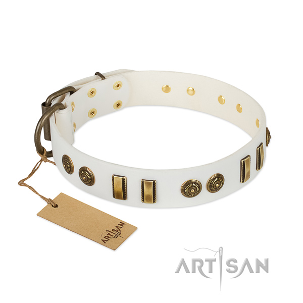 Adorned genuine leather collar for your four-legged friend
