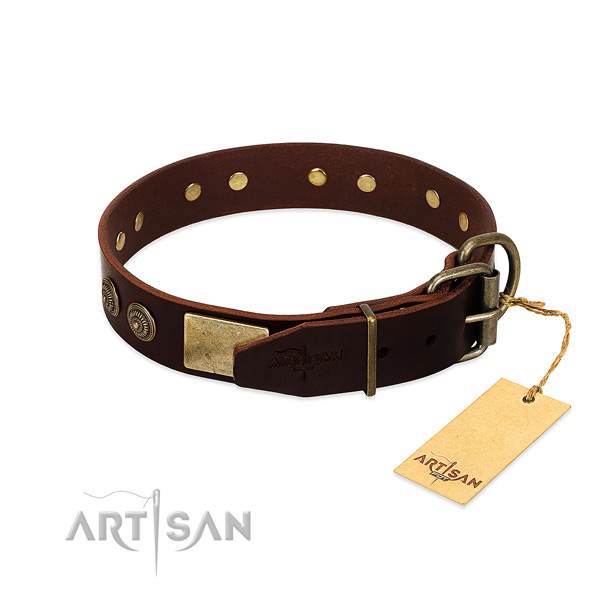 Reliable embellishments on genuine leather dog collar for your canine