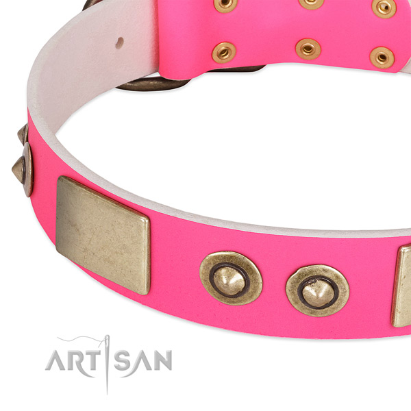 Corrosion resistant embellishments on genuine leather dog collar for your doggie