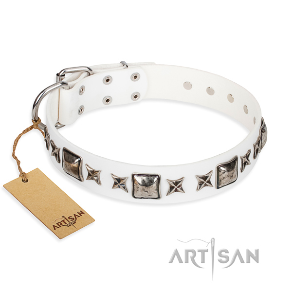 Basic training dog collar of durable natural leather with decorations