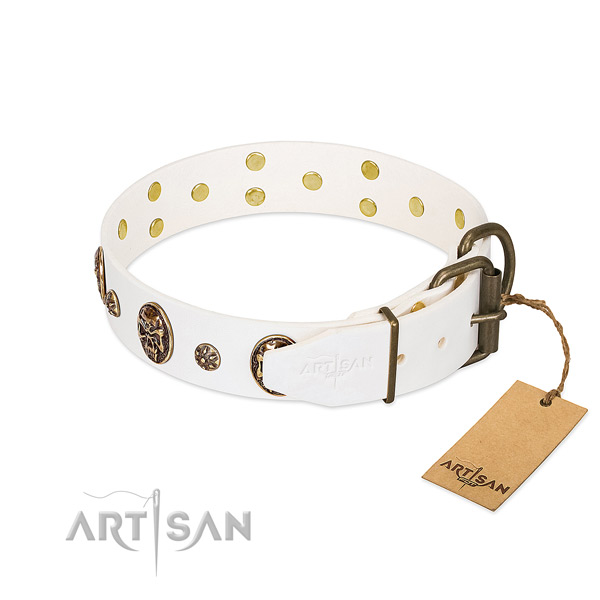 Reliable decorations on full grain natural leather dog collar for your pet