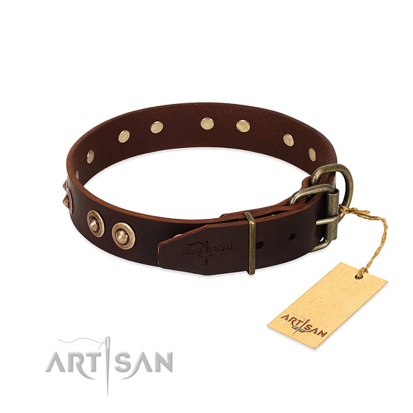 Corrosion resistant embellishments on leather dog collar for your dog