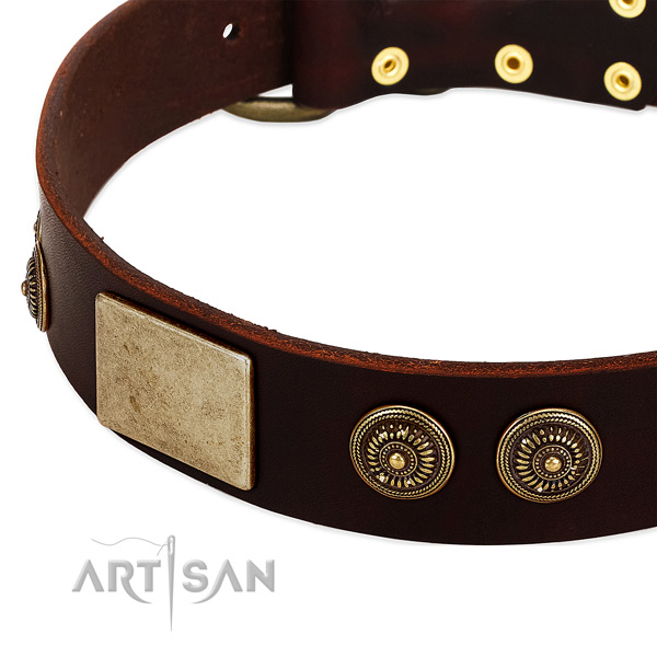 Rust-proof traditional buckle on full grain genuine leather dog collar for your pet