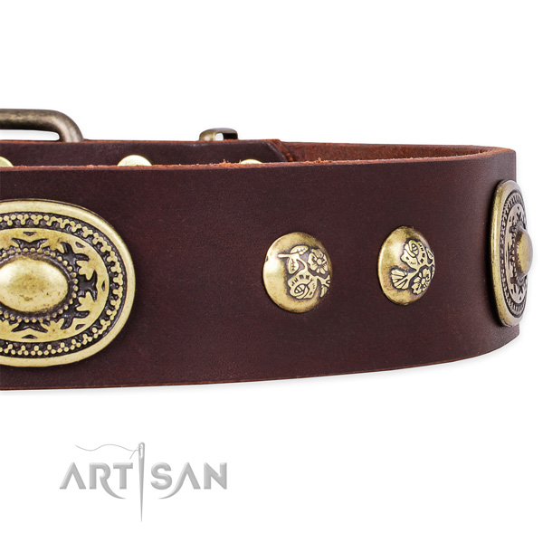 Extraordinary leather collar for your handsome four-legged friend