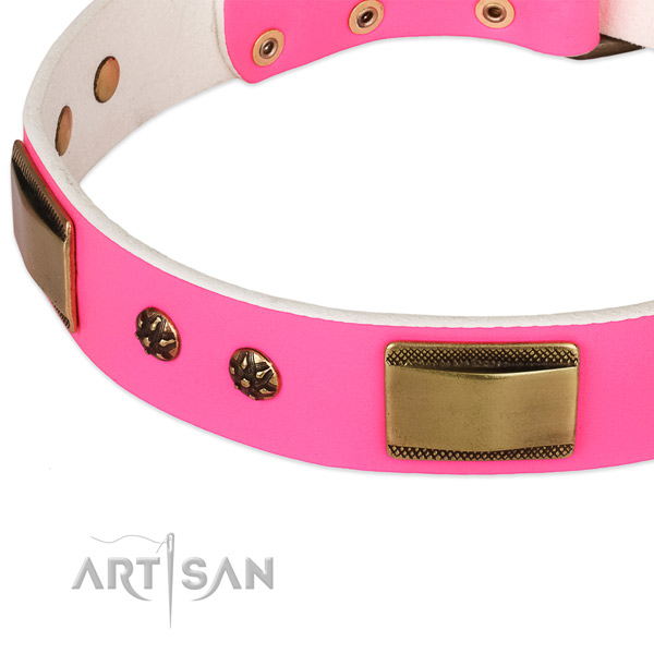 Corrosion resistant traditional buckle on genuine leather dog collar for your pet