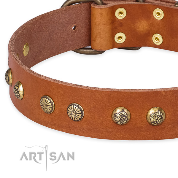 Full grain natural leather collar with durable fittings for your lovely four-legged friend