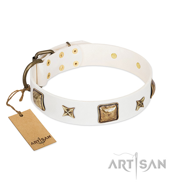 Adorned full grain natural leather dog collar for fancy walking
