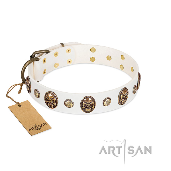 Decorated full grain leather dog collar for fancy walking