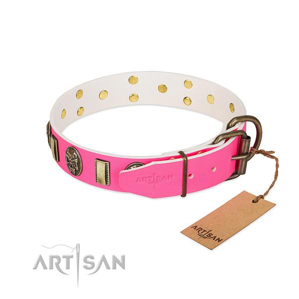 Strong adornments on leather dog collar for your pet