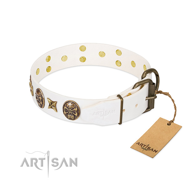 Rust resistant traditional buckle on full grain natural leather collar for daily walking your doggie