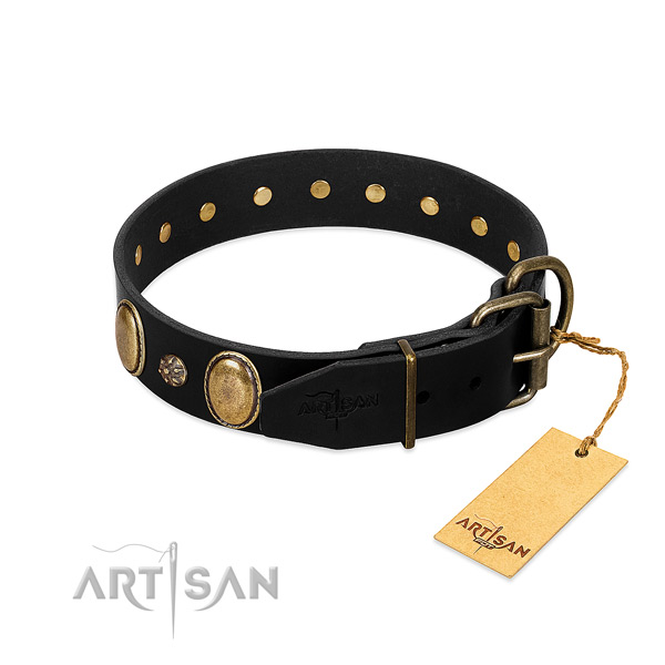 Daily walking top notch leather dog collar