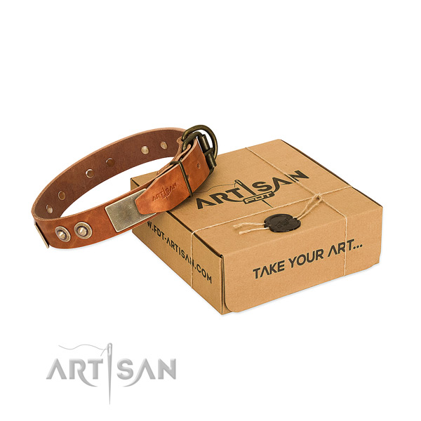 Rust-proof adornments on dog collar for stylish walking