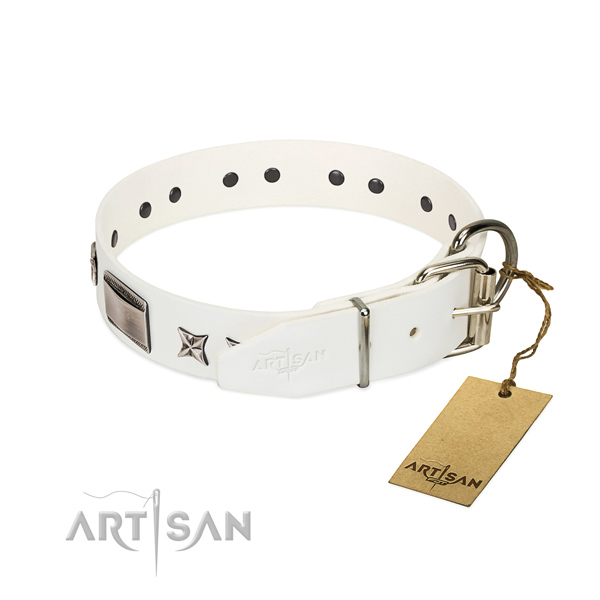 Designer collar of natural leather for your lovely canine
