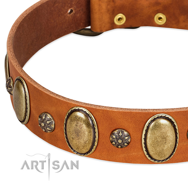 Daily walking quality full grain natural leather dog collar