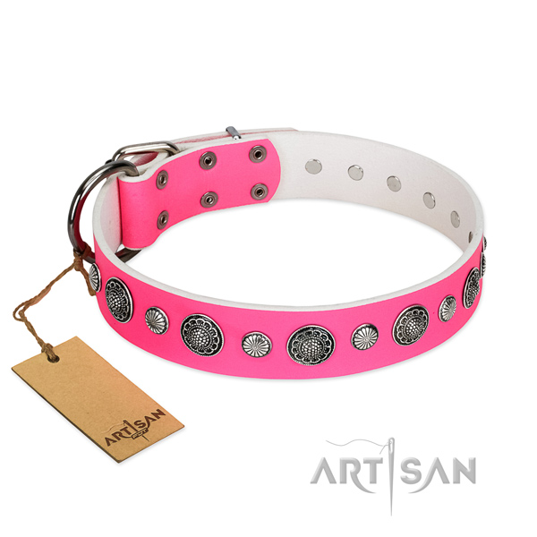 High quality genuine leather dog collar with rust resistant fittings
