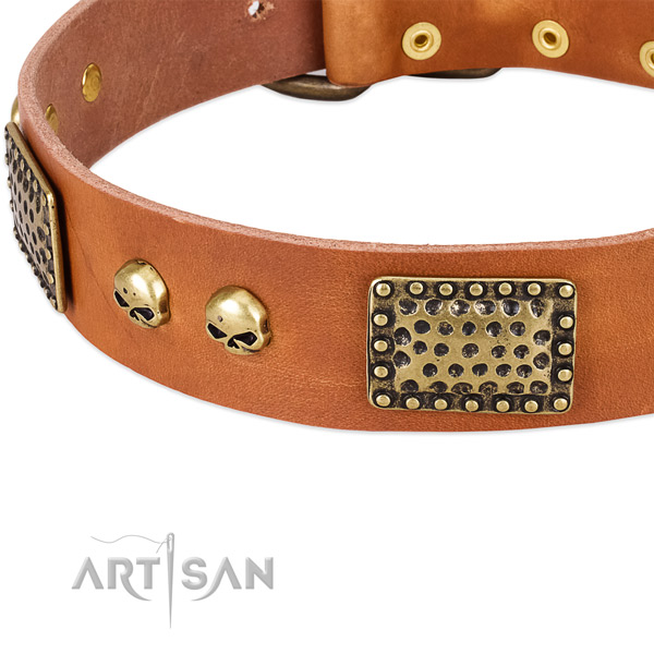 Strong buckle on full grain leather dog collar for your doggie