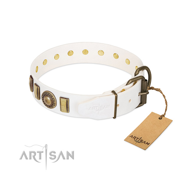 High quality leather dog collar handcrafted for your canine