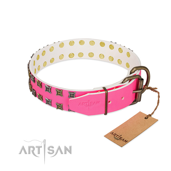 Full grain natural leather collar with extraordinary embellishments for your canine