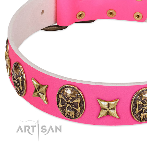 Leather dog collar with significant adornments